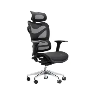 Dorsum - Executive Ergonomic Mesh Chair